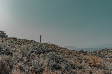 5965826