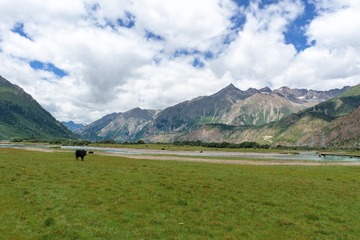 4754026