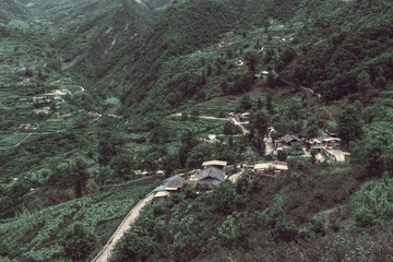 5895491