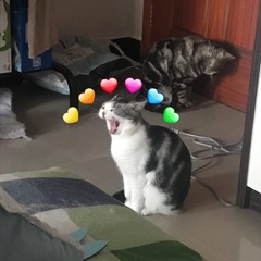 001