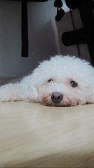 180557