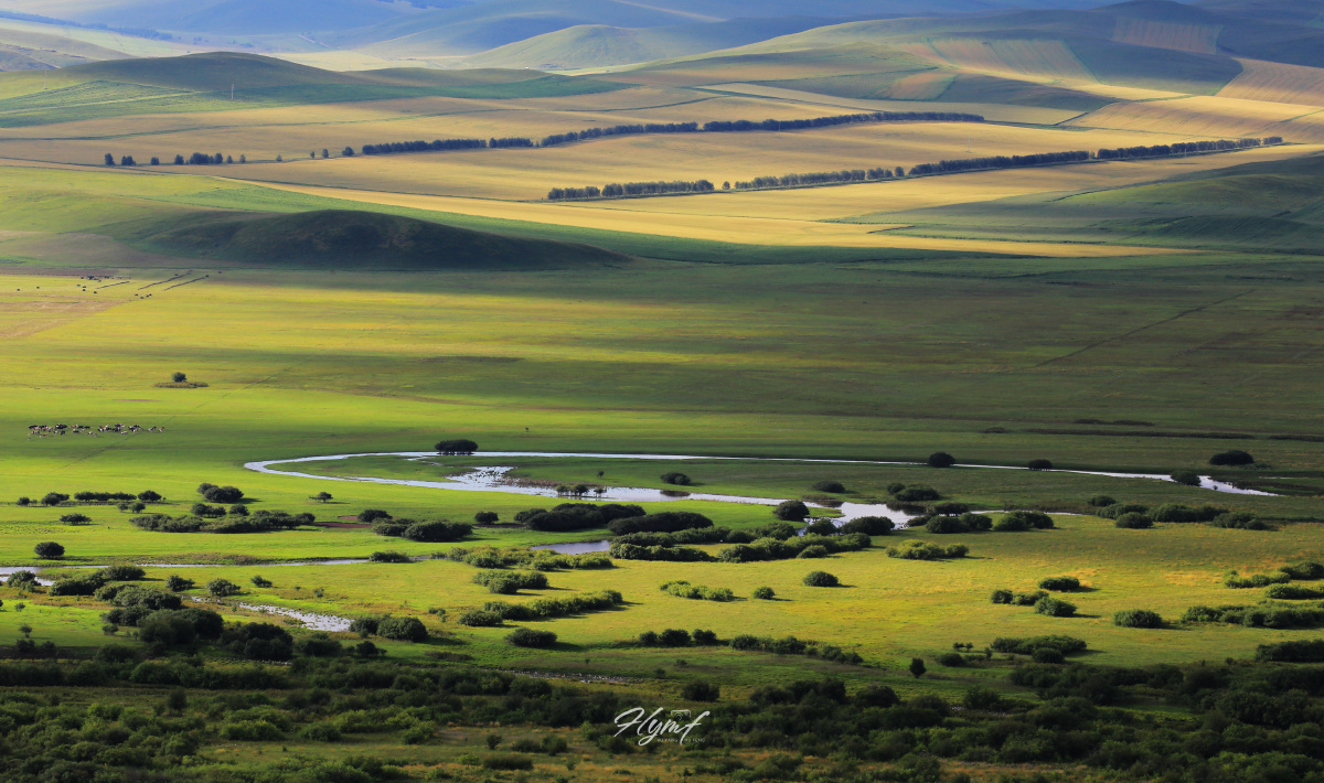 温柔的云织起一件白纱裙轻轻穿在草原身上长长的裙摆拖到春天里穷尽