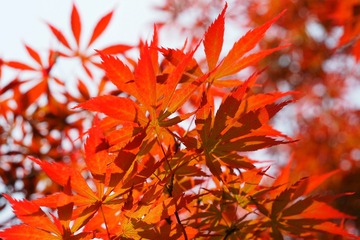 D43C1780-4128-4833-A9FD-BF0A8F0BBB62/L0/001