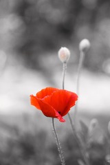 EB68C130-B965-49AA-BCB5-8F07AEEC5809/L0/001