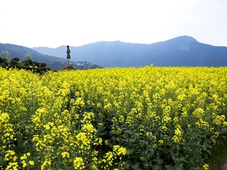 File0170300_1