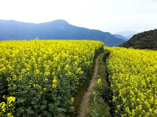 File0170299_1