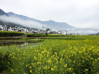 File0170288_1