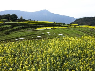 File0170291_1