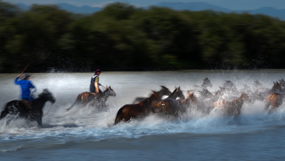 新疆《天马浴河》 - 勇往直前-济南 - 图虫
