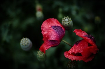 130707
