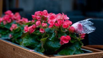 20100306-DSC08693-resize-001