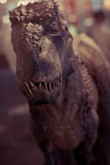 20100821-DSC09064-lr
