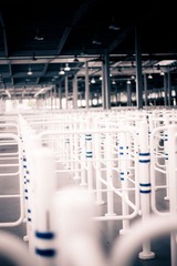 20101002-DSC09544