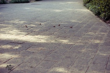 20101006-DSC00069