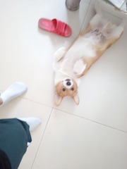180573