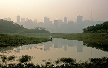 城市