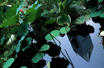 2011_27_30_PP.jpg