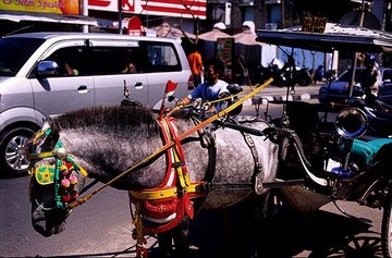 马车