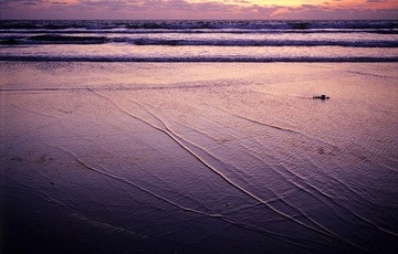 Kuta