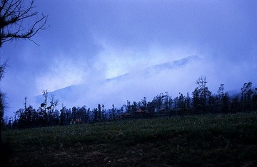 山