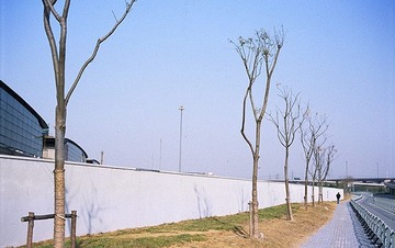 上海