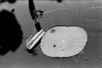 Scan-090728-0008