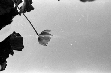 Scan-090728-0014