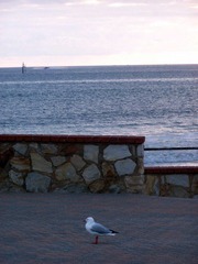 100_8301.JPG
