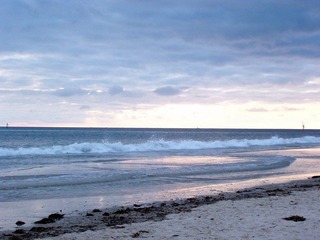100_8316.JPG