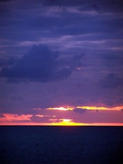 100_8333.JPG