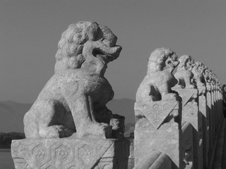 102_7239.JPG