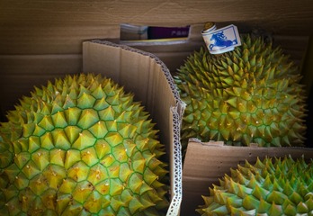 P1230706_1