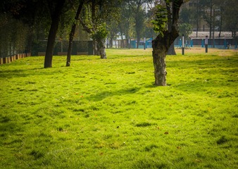 P1230555