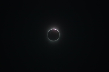 不知道应不应该算是贝利珠