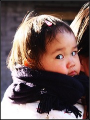 baby ha