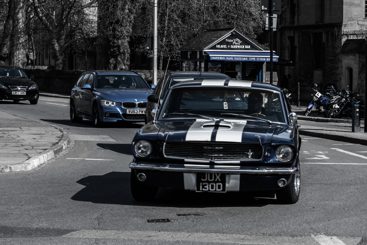 老野马 拍摄自英国牛津joeypu关注