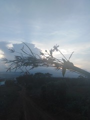 140395
