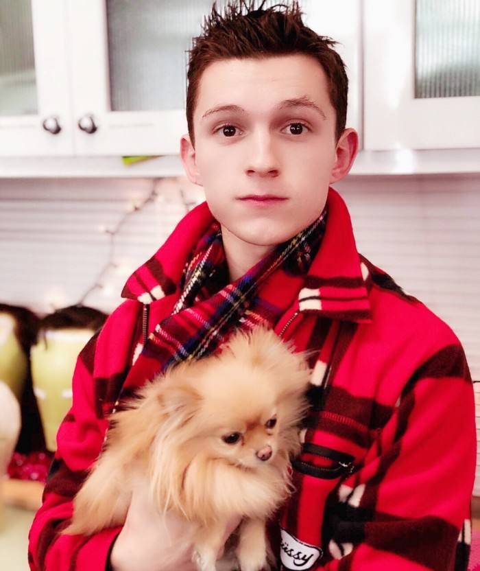 荷兰弟从小可爱到大是吃可爱多长大的吧