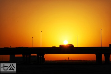 317803