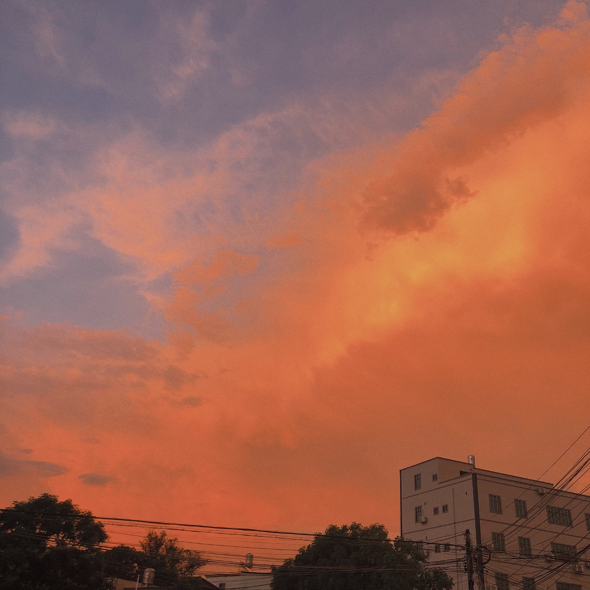 熟透的橘红色天空04