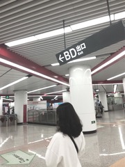 1627447
