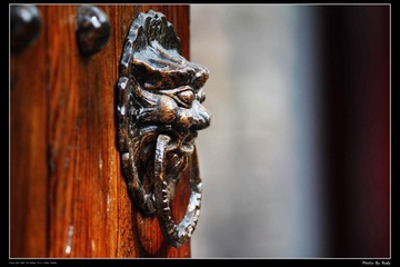 IMG_2798-1