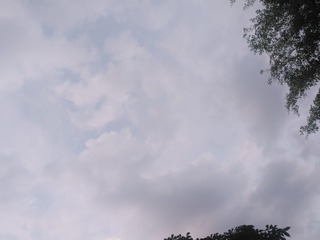 1436399