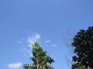 1250417