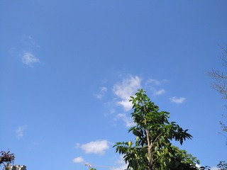 1250415