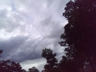 1436482