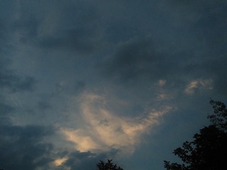 1436405