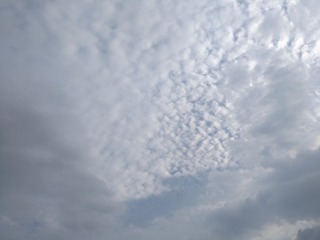 1509402