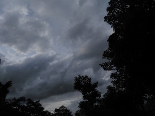 1436484