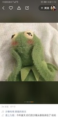 74223